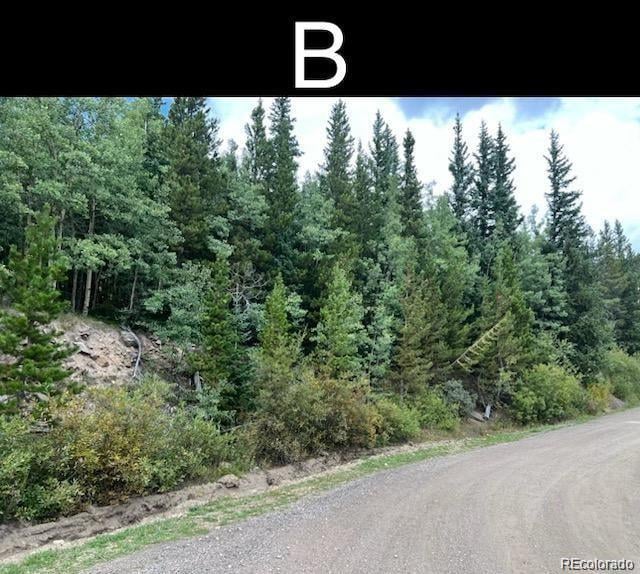 000 Nebraska Dr, Idaho Springs, CO 80452