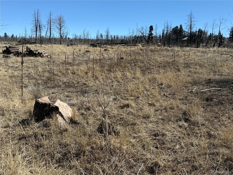 Lot 999 Foy Pl, Fort Garland, CO 81133