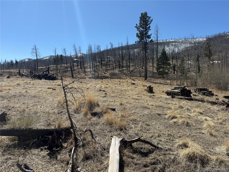 Lot 999 Foy Pl, Fort Garland, CO 81133