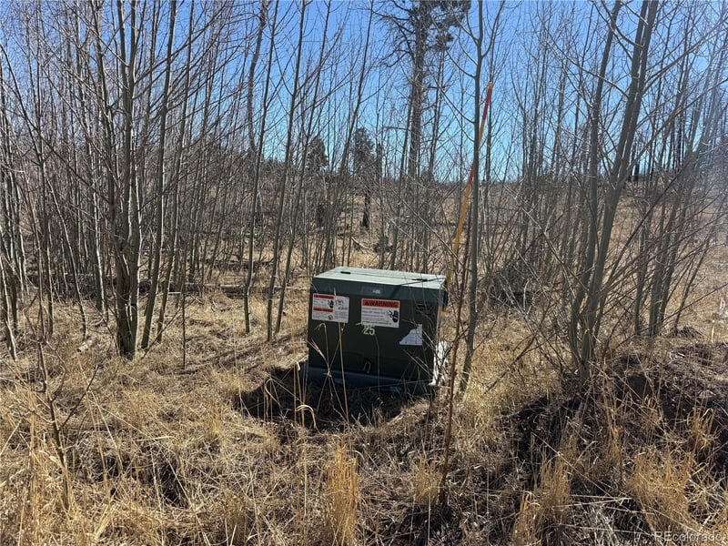 Lot 999 Foy Pl Lot 999, Fort Garland, CO 81133