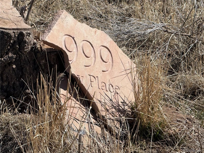 Lot 999 Foy Pl Lot 999, Fort Garland, CO 81133