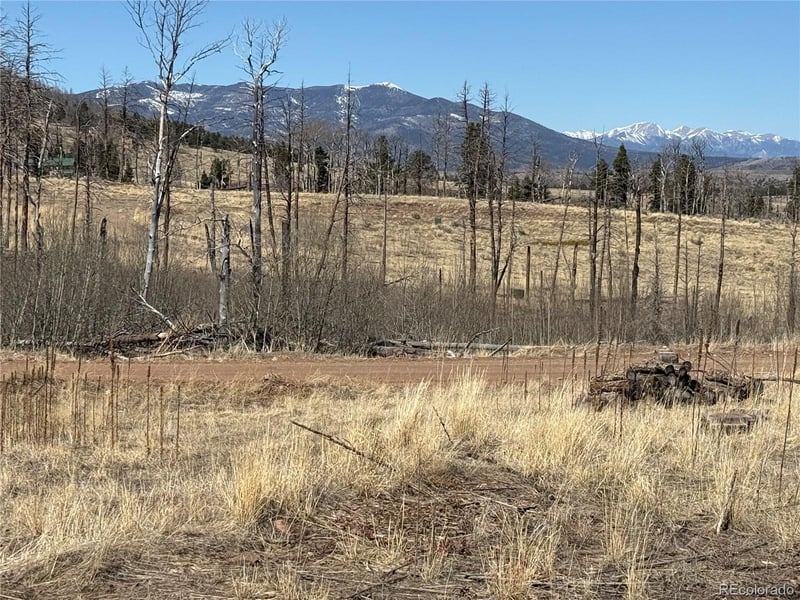Lot 999 Foy Pl Lot 999, Fort Garland, CO 81133