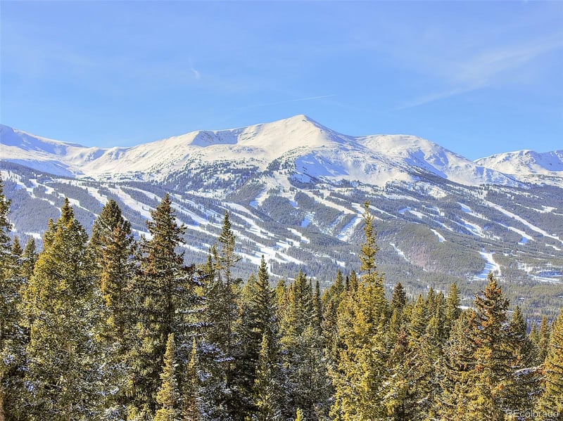 3362 Boreas Pass Rd, Breckenridge, CO 80424