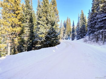 3362 Boreas Pass Rd, Breckenridge, CO 80424