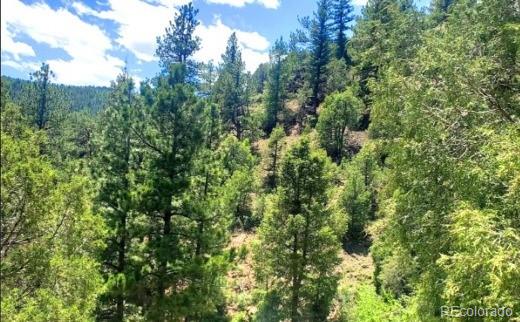 111 Swift Claim Rd, Georgetown, CO 80444