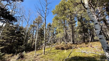 2796 Moir Dr, Fort Garland, CO 81133