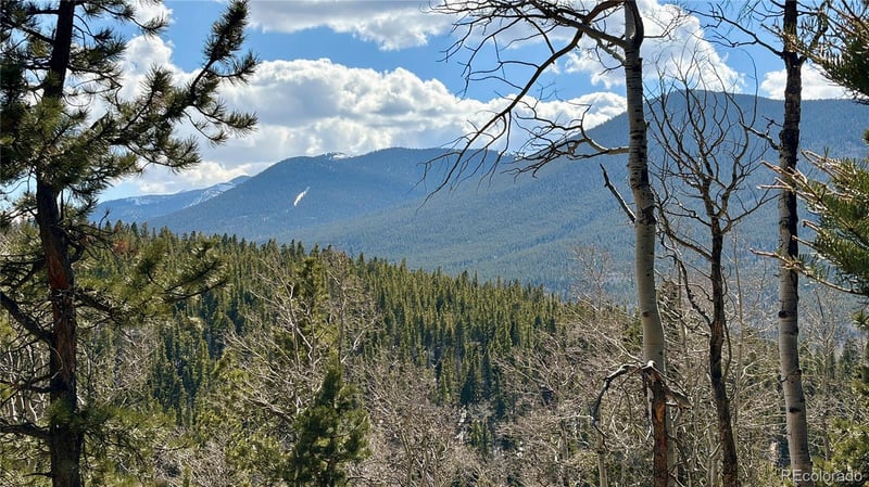 2796 Moir Dr, Fort Garland, CO 81133