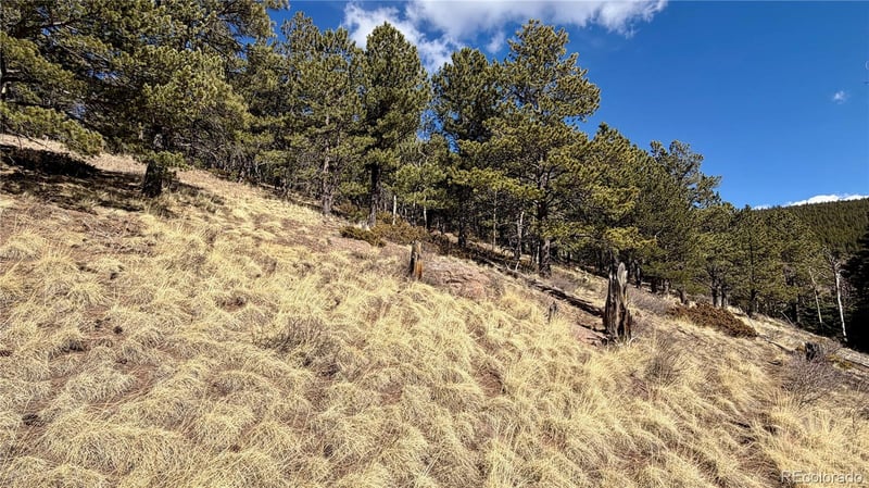 2796 Moir Dr, Fort Garland, CO 81133