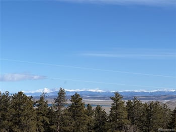 773 Hayhook Way, Hartsel, CO 80449