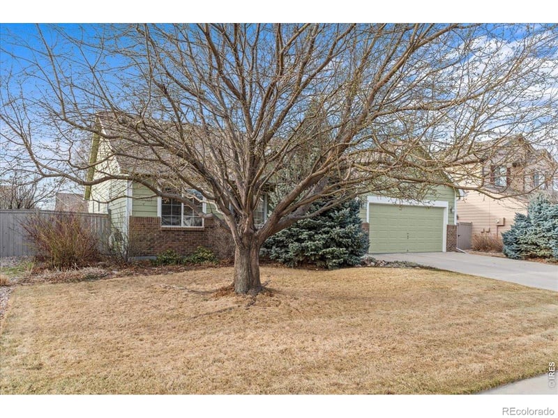 3233 Grizzly Way, Wellington, CO 80549