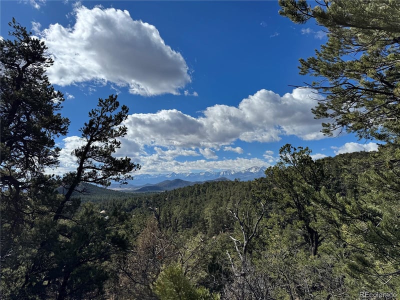 98704420 , Cotopaxi, CO 81223