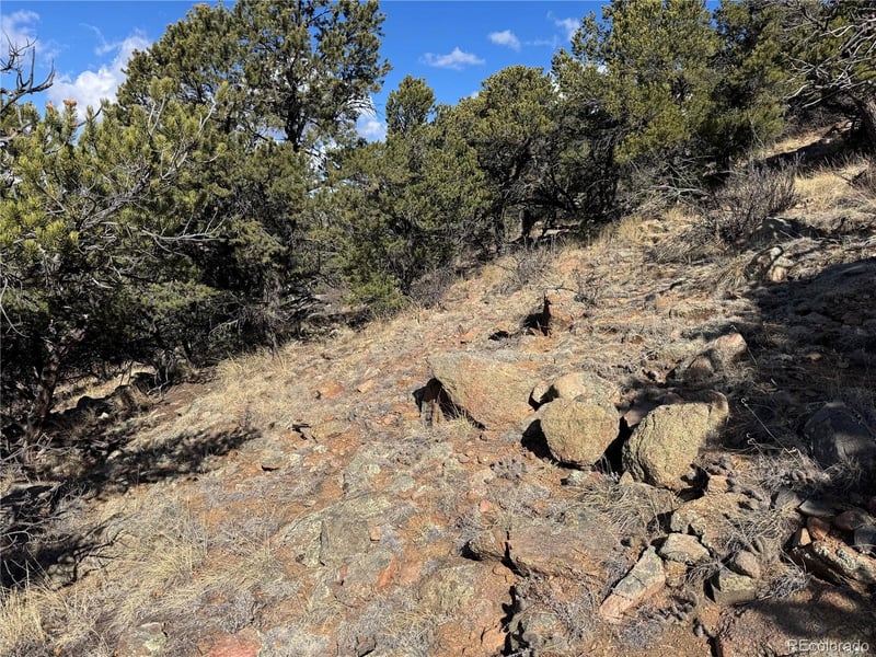 98704420 , Cotopaxi, CO 81223