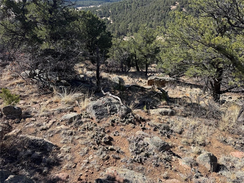 98704420 , Cotopaxi, CO 81223