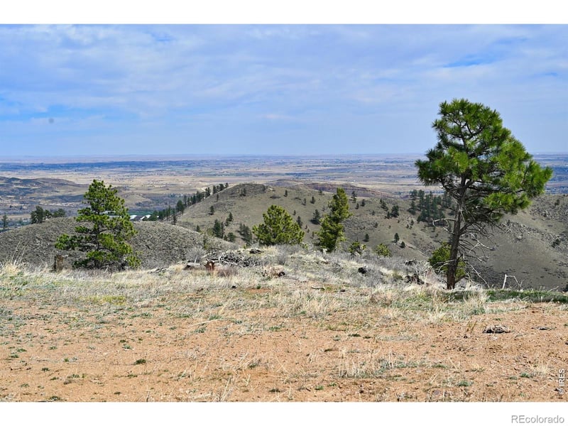 498 Helms Deep Rd, Bellvue, CO 80512