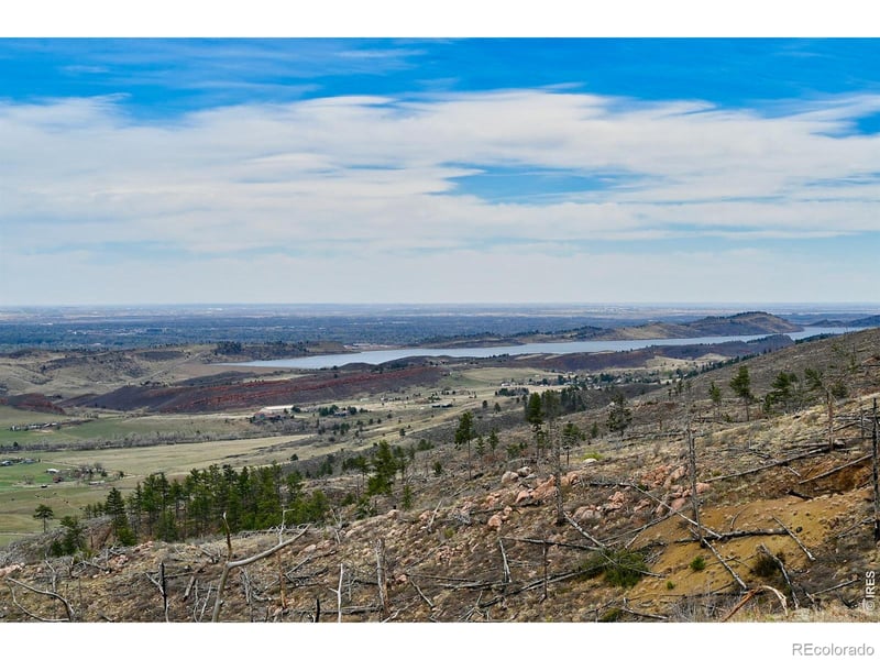 498 Helms Deep Rd, Bellvue, CO 80512