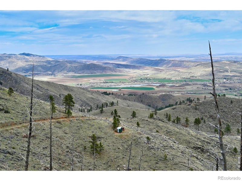 498 Helms Deep Rd, Bellvue, CO 80512