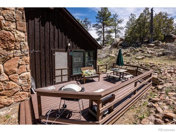 307 Brewster Ln, Livermore, CO 80536