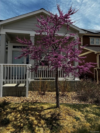 8308 Grasslands Way, Parker, CO 80134