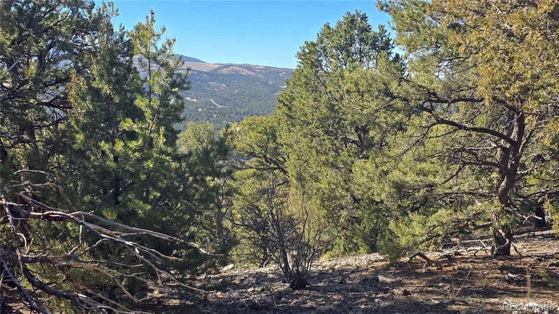 Lot 4510 Iannelli Rd, Fort Garland, CO 81133