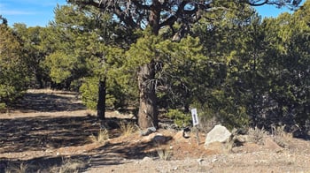 Lot 4510 Iannelli Rd, Fort Garland, CO 81133