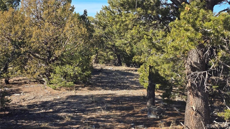 Lot 4510 Iannelli Rd, Fort Garland, CO 81133