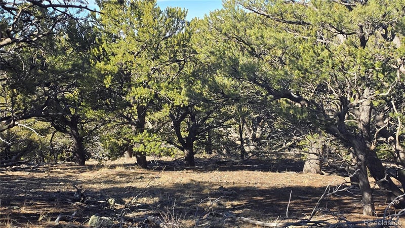 Lot 4510 Iannelli Rd, Fort Garland, CO 81133