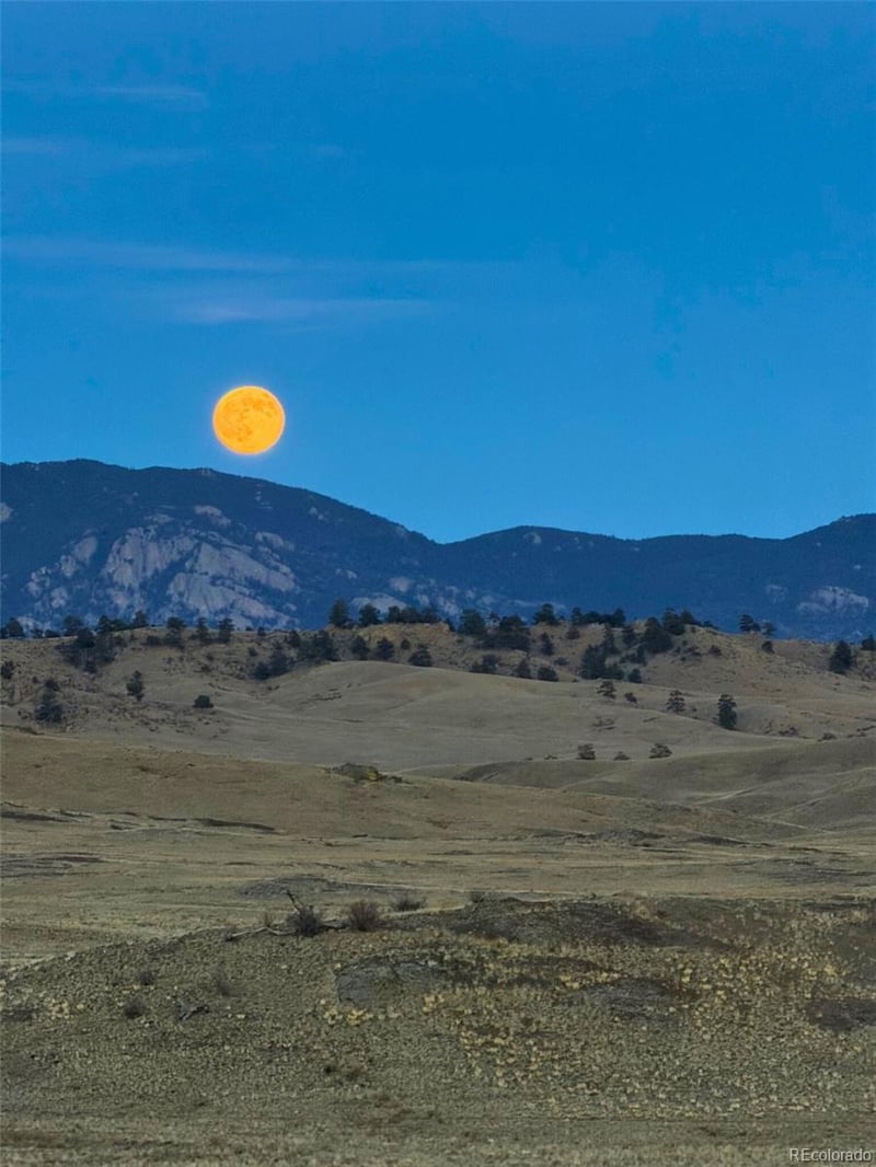 391 Gulch Rd, Hartsel, CO 80449