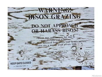 391 Gulch Rd, Hartsel, CO 80449