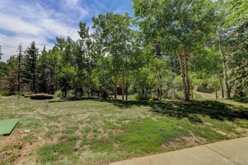 307 Snyder Mountain Rd, Evergreen, CO 80439