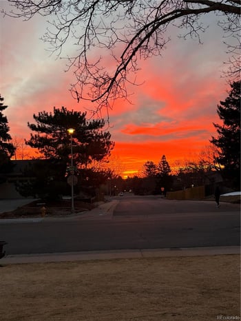 4449 Xavier St, Denver, CO 80236