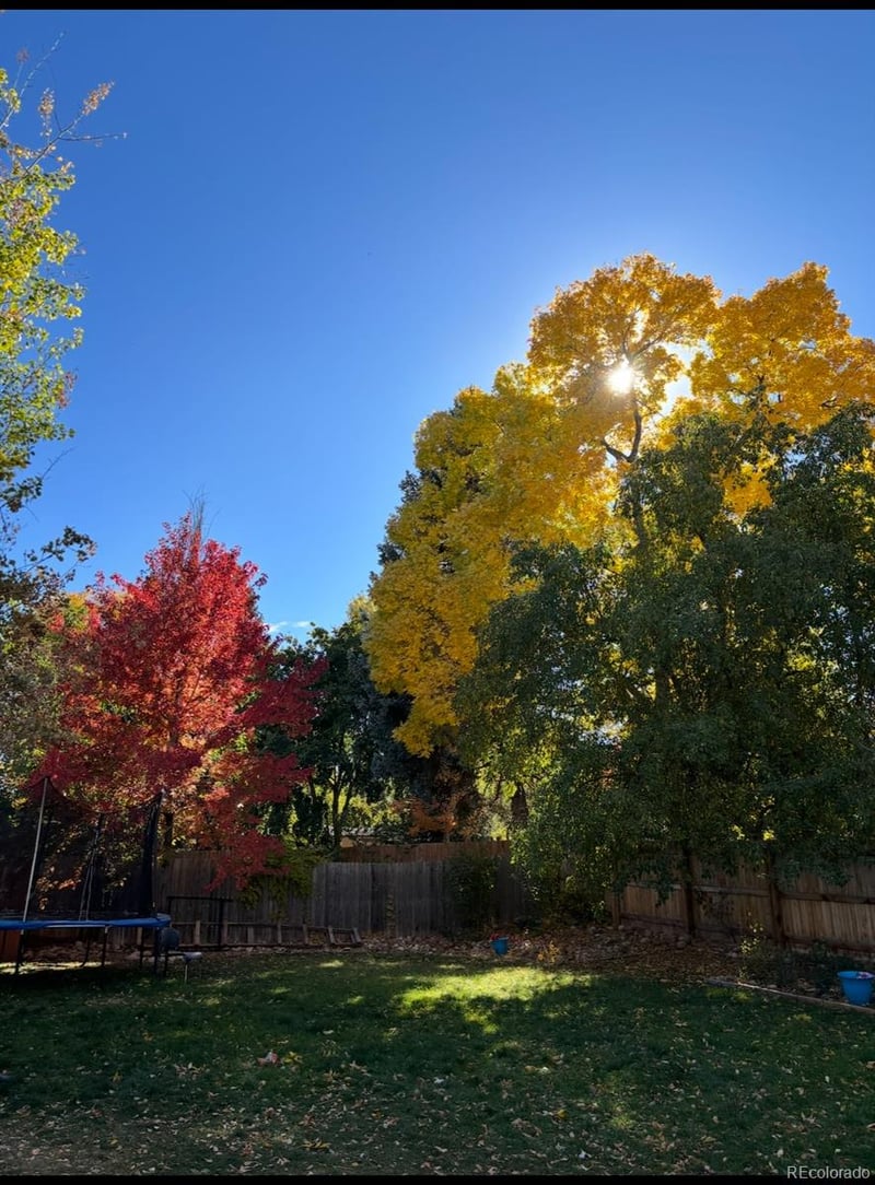 4449 Xavier St, Denver, CO 80236