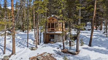 5080 Montezuma Rd, Montezuma, CO 80435