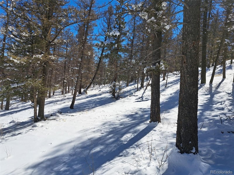 00 Redhill Rd, Fairplay, CO 80440