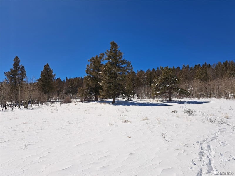 00 Redhill Rd, Fairplay, CO 80440