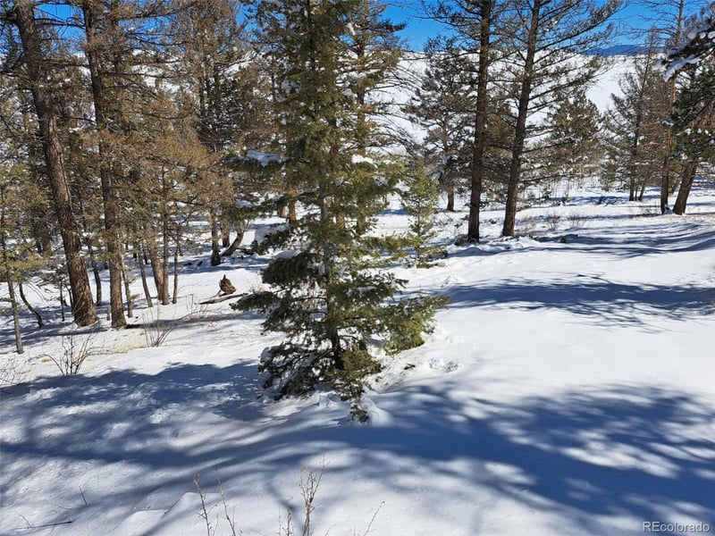 00 Redhill Rd, Fairplay, CO 80440