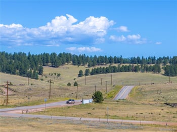 1014 Elfin Glen Dr, Divide, CO 80814
