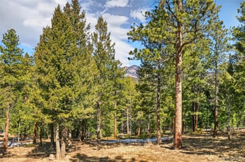 14482 Jubilee Trl, Pine, CO 80470