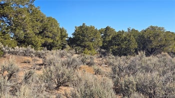 Lot 409 Williams Rd, Fort Garland, CO 81133