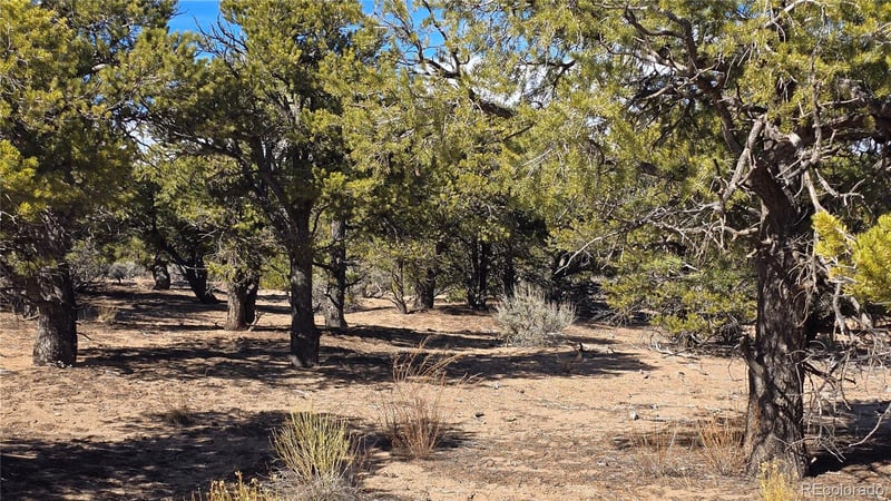 Lot 409 Williams Rd, Fort Garland, CO 81133