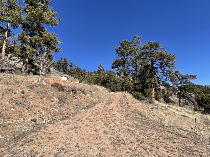 1018 Beartrap Rd, Red Feather Lakes, CO 80545