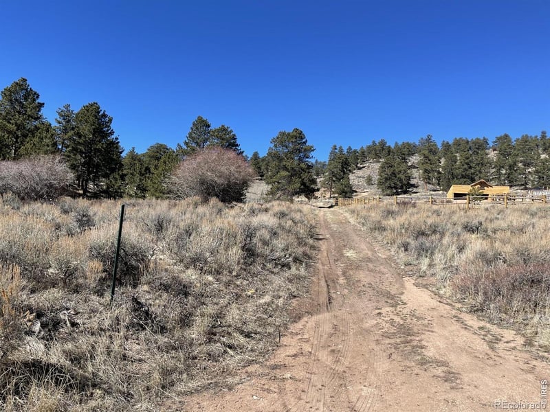 1018 Beartrap Rd, Red Feather Lakes, CO 80545