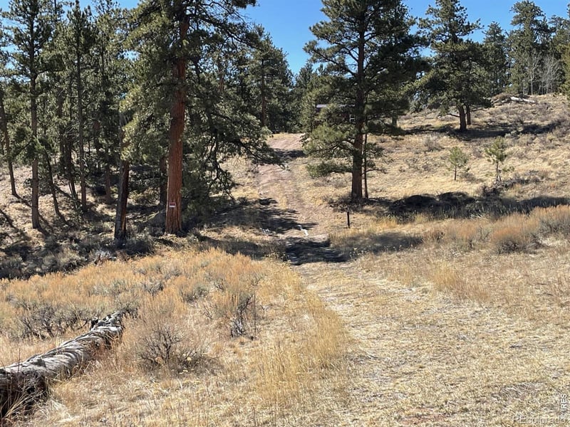 1018 Beartrap Rd, Red Feather Lakes, CO 80545