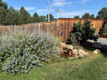 2433 Adobe Dr, Fort Collins, CO 80525