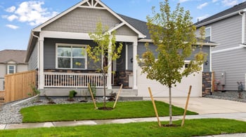 14234 Beebalm Ave, Parker, CO 80134