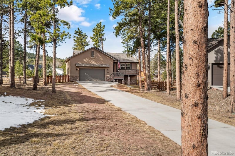 1169 Ptarmigan Dr, Woodland Park, CO 80863