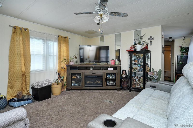 602 Vine St, Salida, CO 81201