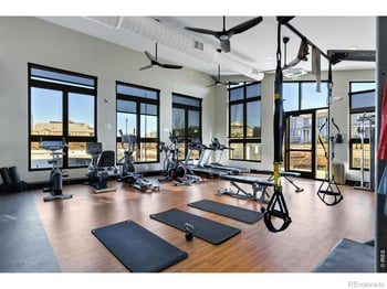 723 Alpine Ridge St, Erie, CO 80516