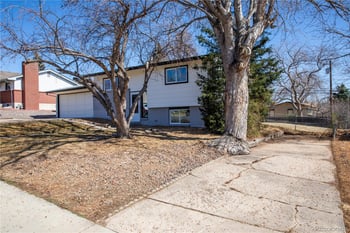 972 Quail Way, Lakewood, CO 80226