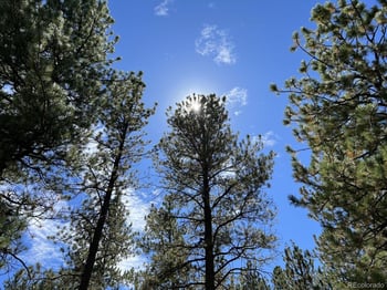 82 Kiowa Cir, Westcliffe, CO 81252