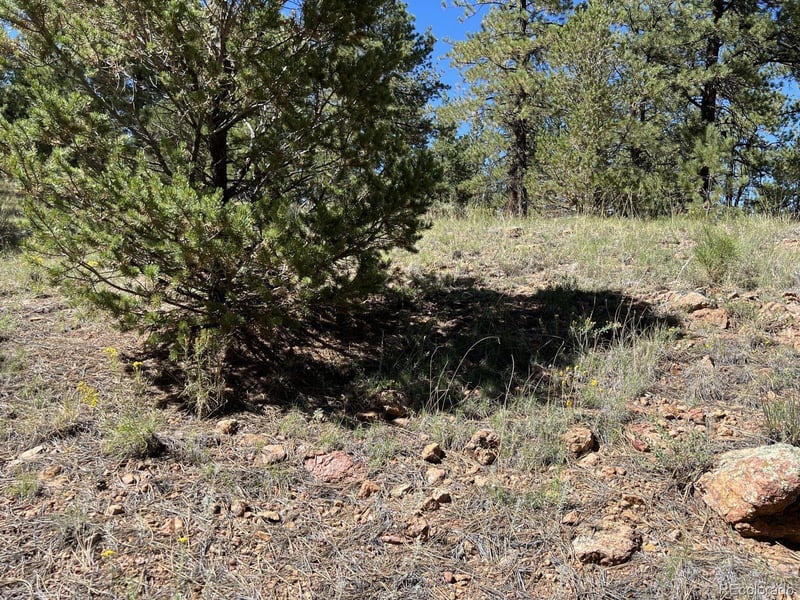 82 Kiowa Cir, Westcliffe, CO 81252